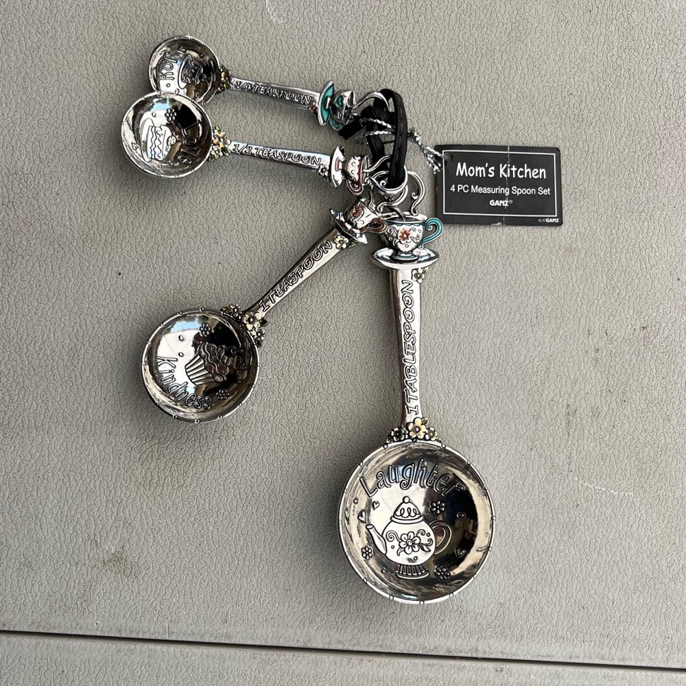 GANZ Silver Measuring Spoon Set